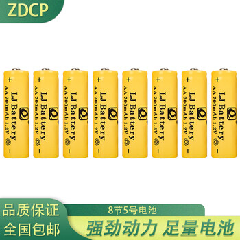 zdcp5号充电电池套装12v大容量7号玩具充电器通用五号七号可充电电池8