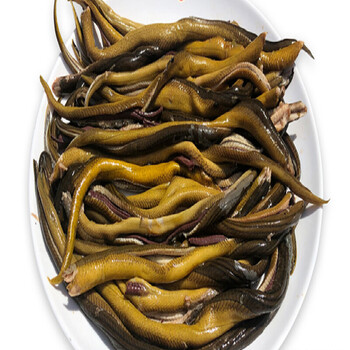 捕获小黄鳝鱼鲜活现杀烫划鳝丝肉长鱼丝小鳝丝软兜鳝丝 1500g