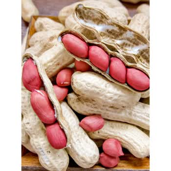 花生种籽高产薄壳大粒红皮小粒白沙鲁花四川黑皮子特大四粒新品种四粒红花生5斤散装 图片价格品牌报价 京东