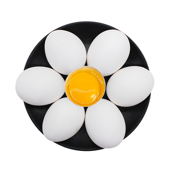 【产地直采】河南濮阳鲜鸡蛋单枚45-55g 白玉白壳蛋 40枚顺丰