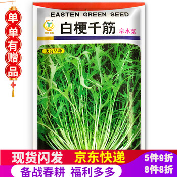 凤鸣雅世蔬菜种子西洋菜种子绿叶菜类组合日本冰菜种子日本京水菜木耳菜四季播种春季夏季盆栽菜种子春季菜蔬菜种籽日本京水菜 种子1000粒 图片价格品牌报价 京东