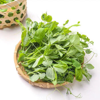 四川豌豆尖新鲜豌豆苗蔬菜火锅配料食材农家自种蔬菜批发新鲜蔬菜4斤
