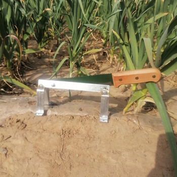 凯勒普kailepu新款大蒜铡刀剪蒜头神器加强加厚款大蒜剪刀药材铡刀单