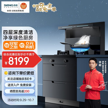 森歌（SENG） 集成灶 A2集成柜款 一体侧吸烟机燃气灶灶具二星级柜 纳米磨砂玻璃台面 右排烟 天然气定制
