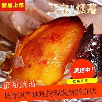 遇见悯农正宗烟薯25号烤薯沙地红薯新鲜黄心地瓜洋芋蜜番薯精选整箱5斤 正宗烟薯25（ 烤薯） 优选小果带箱5斤
