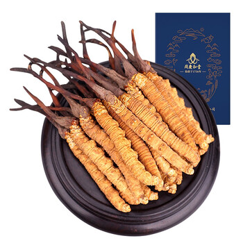 同庆和堂冬虫夏草高海拔野生虫草3根克1克