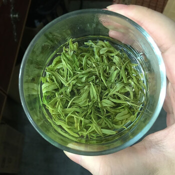 邙南浙江珍稀白茶手工茶2023年新茶明前浓香高山绿茶茶叶批发精品卷