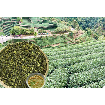 晨臻 贺州昭平绿茶叶打油茶专用500g散装广西三江桂林油茶 江桂林油茶