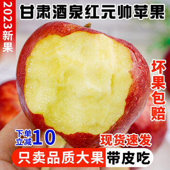 甘肃酒泉红元帅苹果新鲜水果粉面沙甜粉苹果刮泥果粉糯当季可选顺80mm