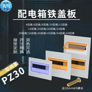 宛丝希pz30配电箱盖板铁盖子8 10 12 15 18 24 30 36回路双三排面板15回路小型铁盖板 默认黄色盖 图片价格品牌报价 京东