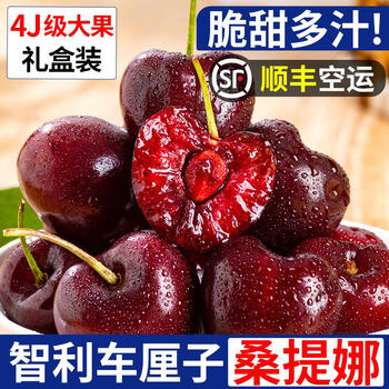 吧唧果智力进口车厘子现货90%次日达大樱桃应季新鲜水果礼盒 500g大果毛重J26-28mm