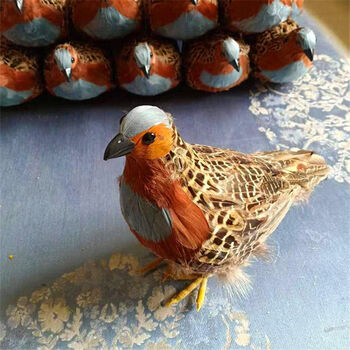 精选精品竹鸡标本新款竹鸡模型户外用品摆件教学用品竹鸡标本北极象