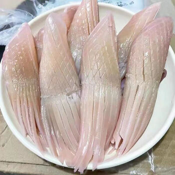 海鲜 新鲜火箭鱿鱼整条鱿鱼生鲜火锅食材海产批发 宏嘉睿 火箭鱿鱼5斤