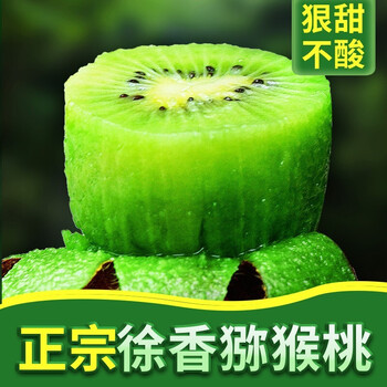 肴池即食徐香猕猴桃特级奇异果弥猕桃水果礼盒新鲜绿心泥猴桃 徐香24枚装|85-105克|中大果推荐款