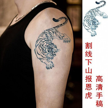 秋江月下山虎纹身贴防水男线条老虎大花臂披肩膀过肩龙仿真刺青图八张