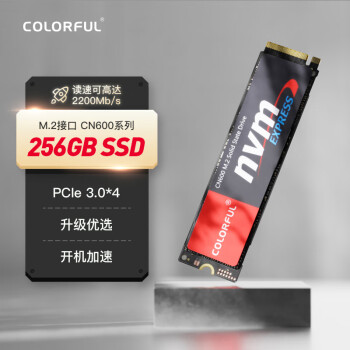 七彩虹(Colorful)  256GB SSD固态硬盘 M.2接口(NVMe协议)  CN600系列PCIe 3.0 x4