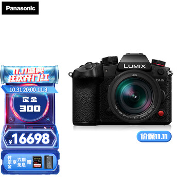松下（Panasonic） GH6微单/单电无反数码vlog相机 4K视频 5轴防抖 M4/3画幅 GH6L丨【12-60mm F2.8-4.0】套机