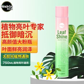美乐棵 植物亮叶剂 发财树绿萝金钱树盆栽绿植花卉植物叶面防尘光亮剂750ML/瓶