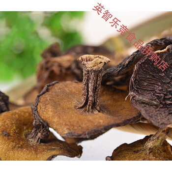 松蘑菇东北干货特产香菇长白山粘团子蛾子松蛾
