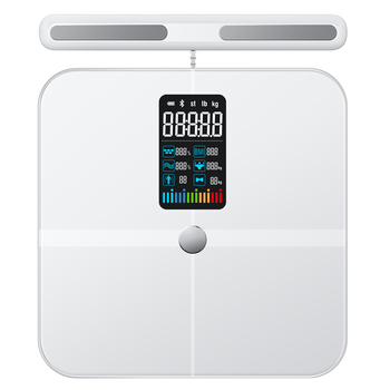 电子体重秤十大品牌2023排行榜（家用人体秤十大名牌）