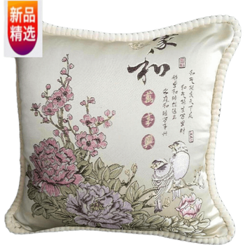 抱枕什么品牌性价比高又实惠(抱枕什么牌子好)