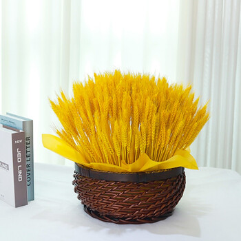 布置拍摄道具插花花篮金色麦穗500支藤编大号花篮满天星配饰干花包