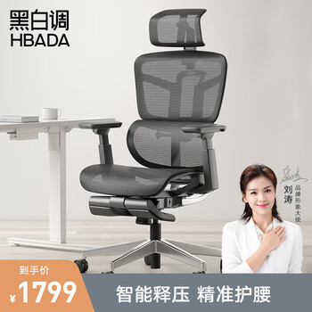 黑白调人体工学电脑椅家用工程学办公椅hdny189 智尊s1 标准版 图片价格品牌报价 京东