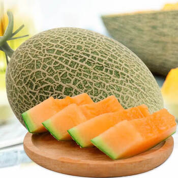 海南沙地晓蜜25号小蜜哈密瓜原箱脆甜多汁当季水果 3-4斤