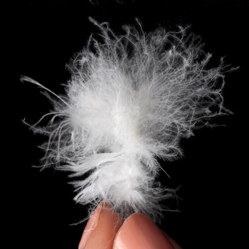 95白鹅绒大朵 半斤装(250克)