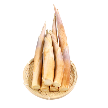 青樱红荔马鞭笋 新鲜蔬菜3斤现挖小竹笋边笋毛笋春笋夏笋甜笋 1500g