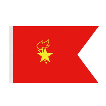 少先队队旗手持中国少年先锋队大队旗中小号小学生旗帜唐帆中队旗