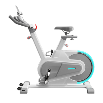 健身车品牌排行榜（健身车全球十大动感单车品牌）