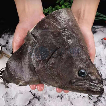 鲜源澜湾 超大鲽鱼头2-6斤/只 比目鱼头超大鱼头鲽鱼碟鱼头鲽鱼头海鲜