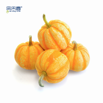 奕天壹黄金贝贝南瓜迷你板栗太阳果宝宝辅食新鲜采摘6个普通装3斤左右