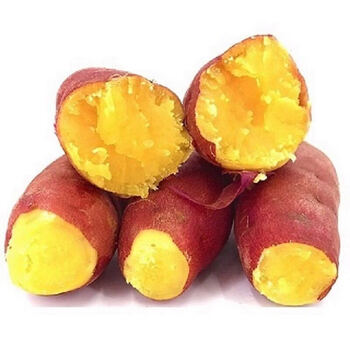 新鲜红薯农家沙地山芋黄心蜜薯地瓜带箱952斤人工手选核心产区坏果