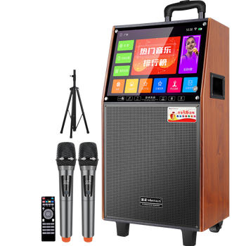 金正点歌机哪款值得买？