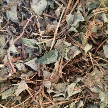 野生鱼腥草凉茶晒干狗贴耳肺形草折耳根臭腥草狗心草臭草干货 【切碎