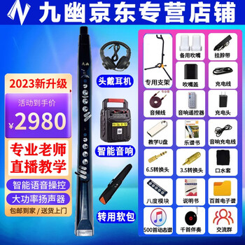 九幽卓恩YH801S电吹管2023更新款上市国产乐器老年人电子萨克斯葫芦丝 黑色801+豪华礼包