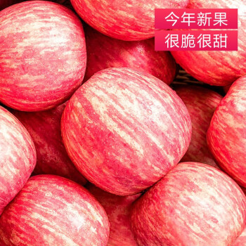 陕西延安洛川红富士苹果5斤净重带皮吃应季水果整箱 70-80中果4.5斤拍两件合并发9斤大箱