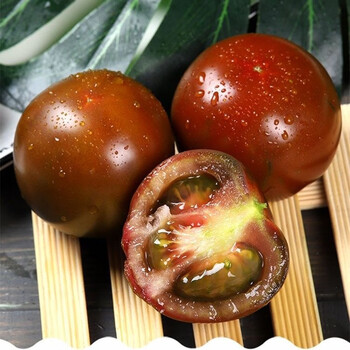 现摘现发山东特产巧克力西红柿新鲜蔬菜水果稀有品种生吃自然熟5斤