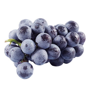 青尊园辽宁巨峰葡萄现摘应当季新鲜孕妇水果提子礼盒天然辽峰大葡萄