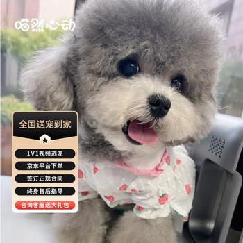 京东狗狗活体价格曲线软件|狗狗活体价格比较