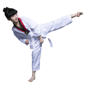 跆拳道服有什么牌子值得选购(跆拳道服什么品牌质量最好)