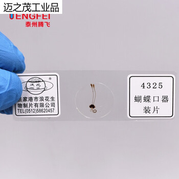 人血涂片水绵装片植物根尖青霉洋葱鳞片上字切片单片生物切片人血涂片 图片价格品牌报价 京东 人血涂片水绵装片植物根尖青霉洋葱鳞片上字切片单片生物切片人血涂片 图片价格品牌报价 京东