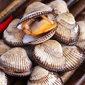 锦祥橙海鲜水产贝类鲜活毛蛤新鲜蛤蜊大花蛤贝类血蛤大赤贝海毛蛤拍2