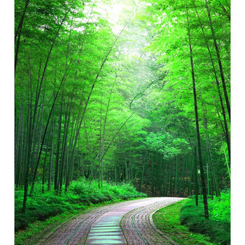 直播间山水风景背景布3d立体 主播直播间山水田园竹林室外风景装饰