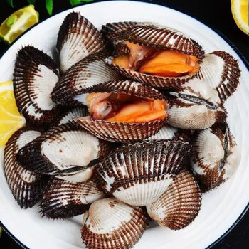 生鲜>海鲜水产>贝类>其他贝类>姬露鲜>姬露鲜鲜活毛蛤蜊鲜活毛蚬血蛤