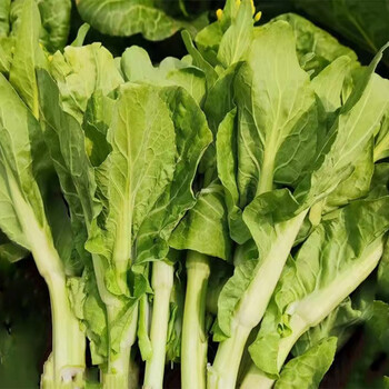 欣农梦白菜苔新鲜本地菜苔甜菜苔青菜新鲜蔬菜农家自种应季时令青菜 3