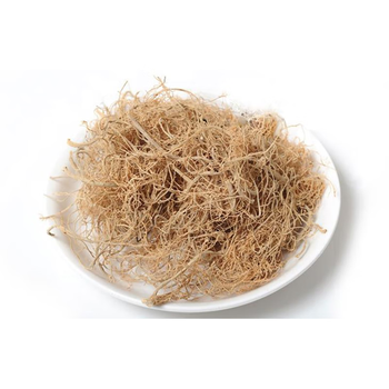 野生三七须粗根大根当年全新货田七农产地直供山货文山三七须根250克