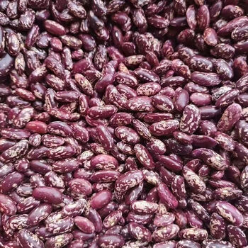 东北奶花饭豆种子正宗大红花芸豆饭豆籽四季白花豆红腰豆煮粥 红花